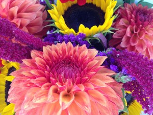 Farmers Market