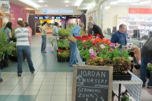 Plant sale