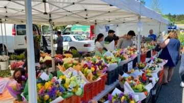 Flower vendor_IMG_9580_bright_Reduced